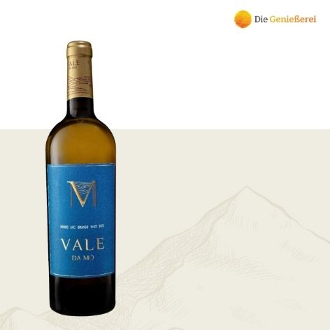 Joao M. Barbosa Vale da Mó Branco 2022