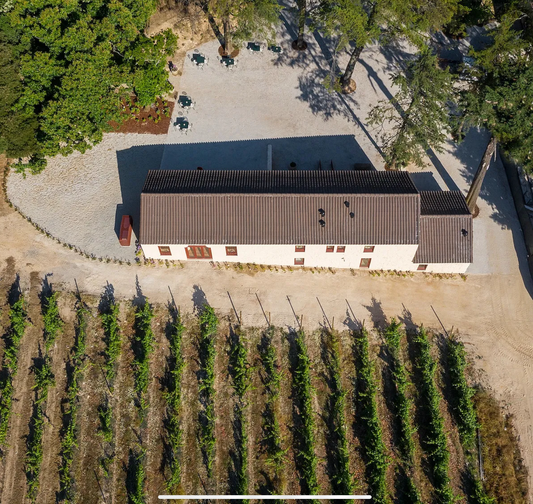 Dao: Portugals verborgene Weinperle