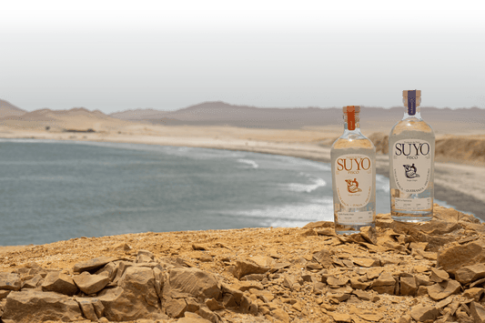 Pisco – eine Spirituose mit Geschichte und Herkunft