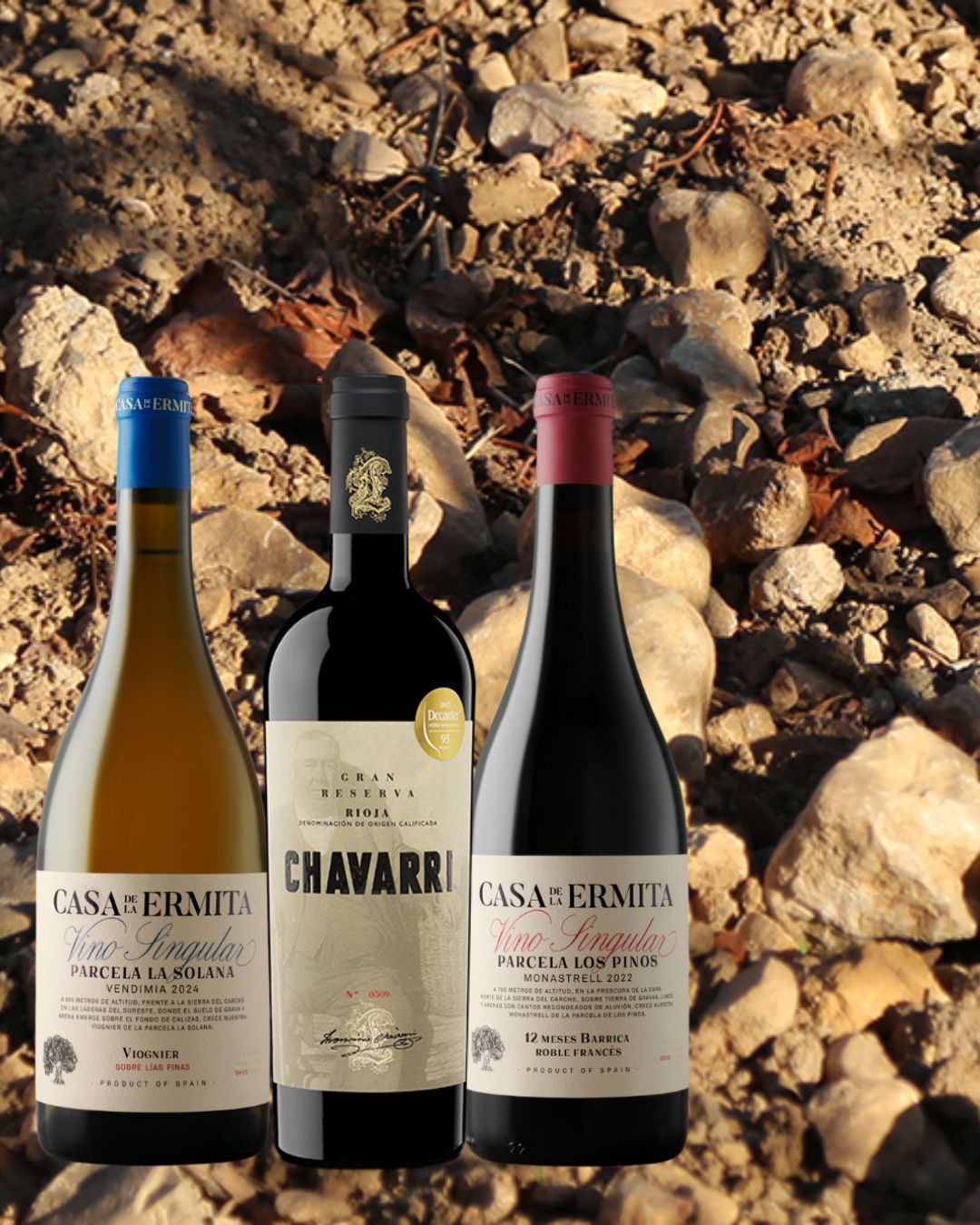 Freitag, 3. April, 19:00 Uhr: Spanien Abend
