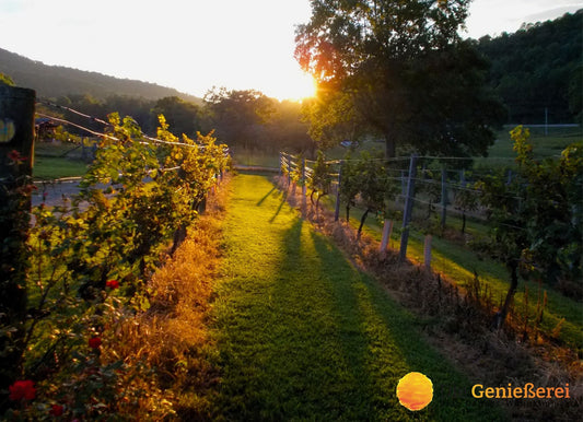 Freitag, 8. Mai, 19:30 Uhr: Italien 3