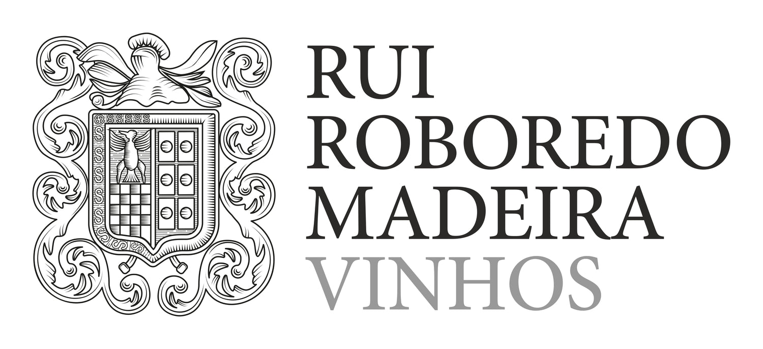 Rui Robredo Madeira