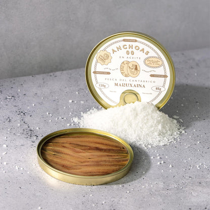 Premium Sardellen/Anchovis aus dem kantabrischen Meer