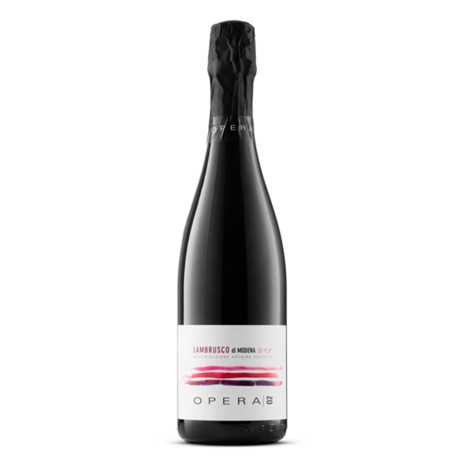 Lambrusco di Modena D.O.P. Brut bio secco (trocken)
