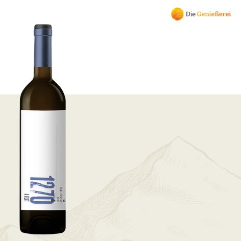 Hidalgo Albert 1270 White