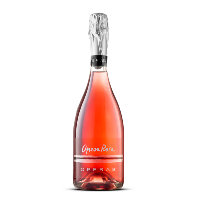 Lambrusco Grasparossa di Castelvetro D.O.P. Rosé bio secco (trocken)